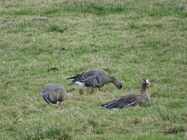 而杜兰特的 而杜兰特的